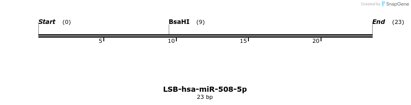196225_map