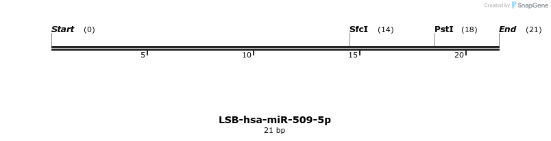 196231_map