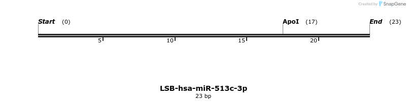 196239_map