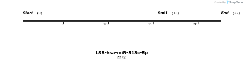196241_map