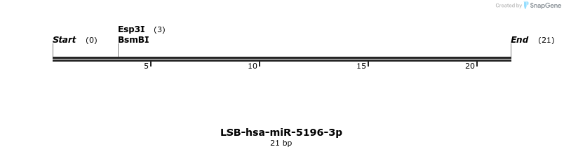 196257_map