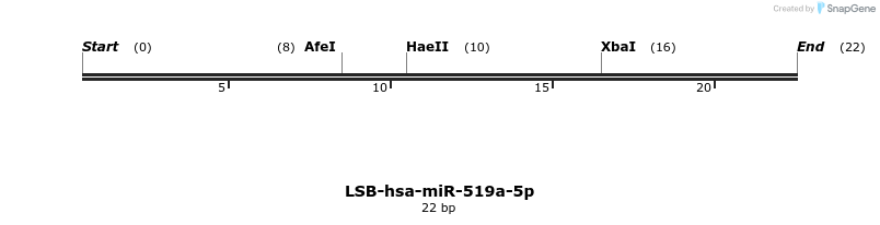 196263_map