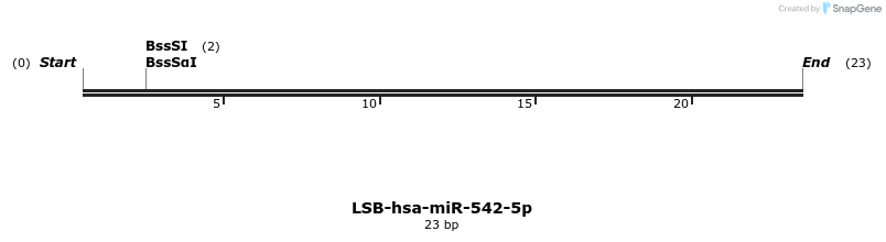 196293_map