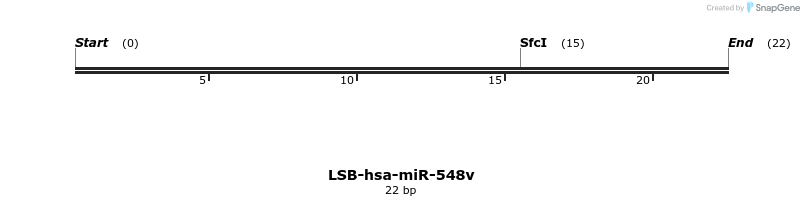 196331_map