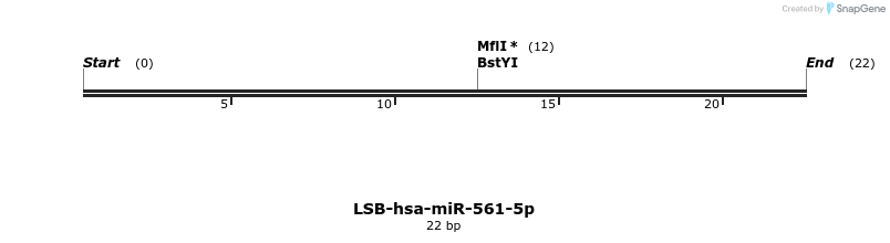 196345_map