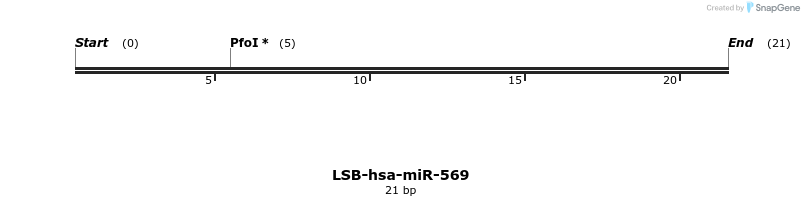 196351_map