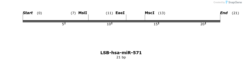 196357_map