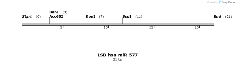 196367_map