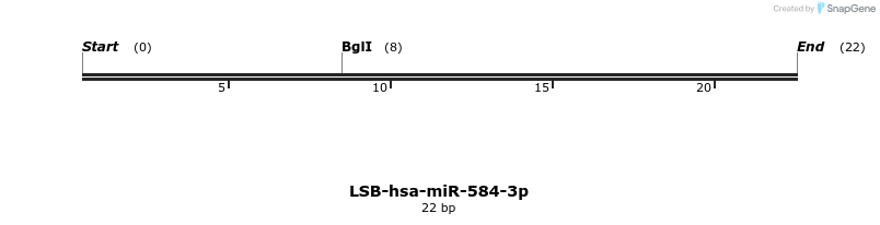 196377_map