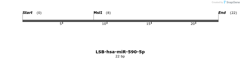 196387_map