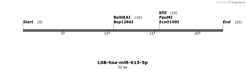 196399_map