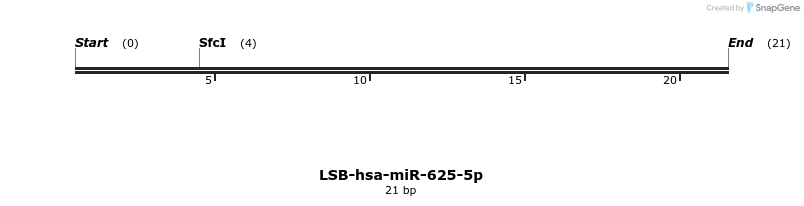 196415_map