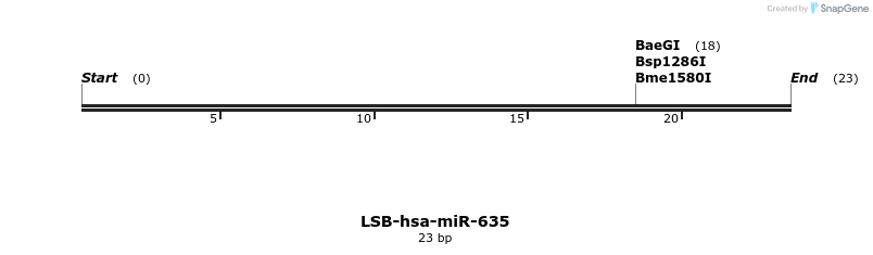 196435_map