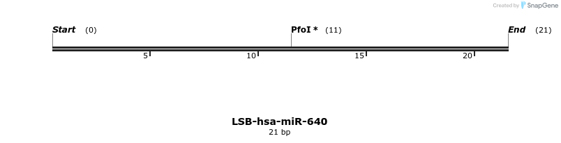 196439_map