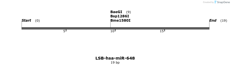 196449_map