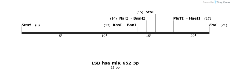 196463_map