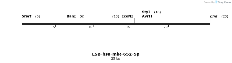196465_map