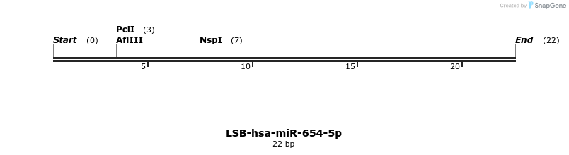 196471_map