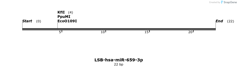 196475_map
