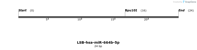 196483_map