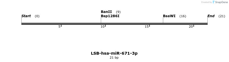 196485_map