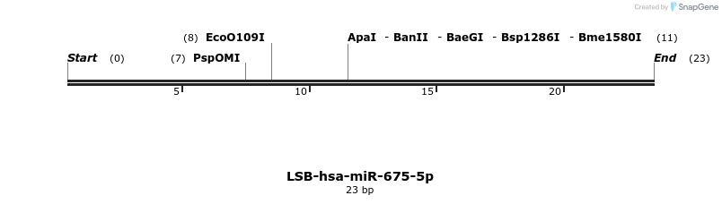 196491_map