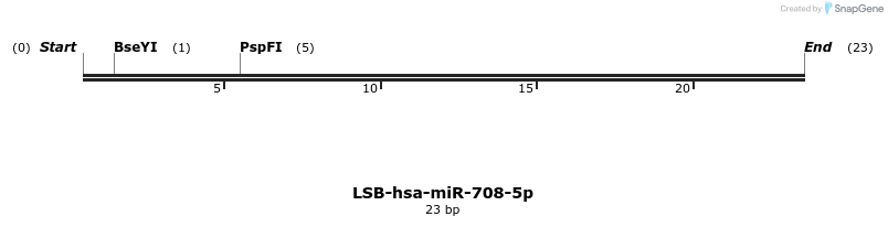 196499_map