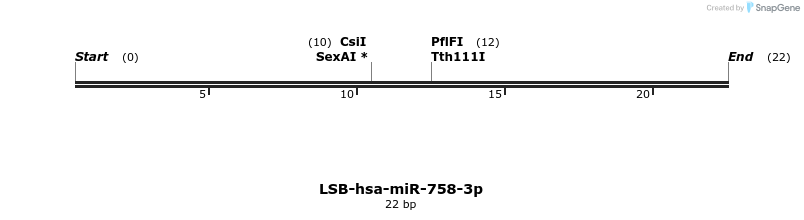 196505_map