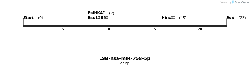 196507_map