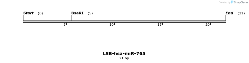196509_map