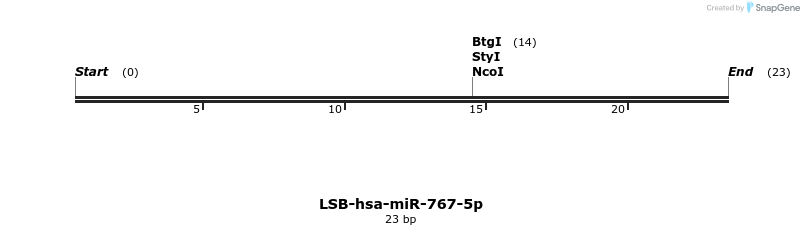 196517_map