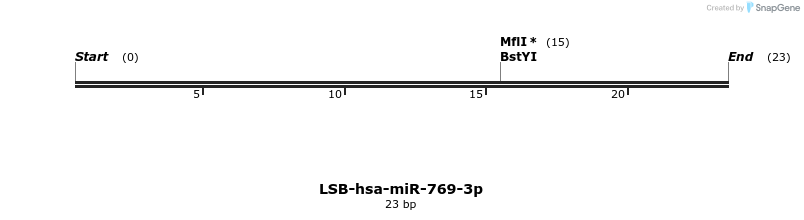196519_map