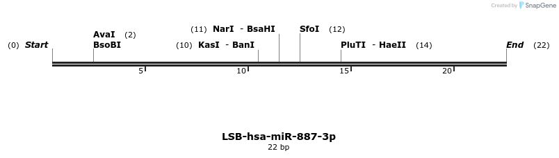 196541_map