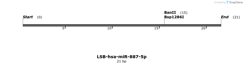 196543_map