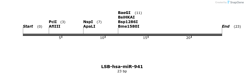 196563_map