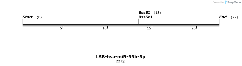 196581_map