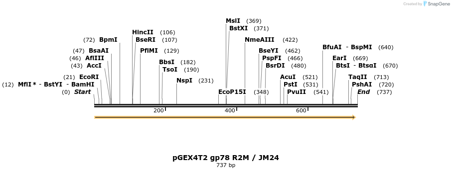 19667_map