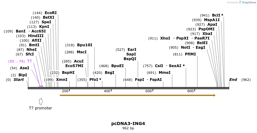 19668_map