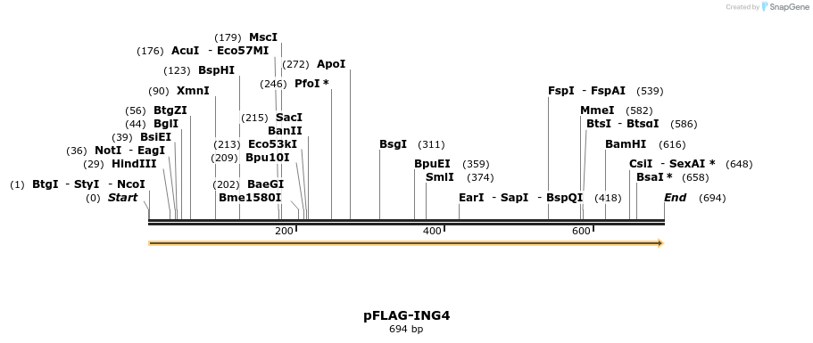 19669_map