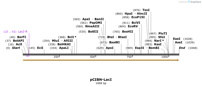 196703_map