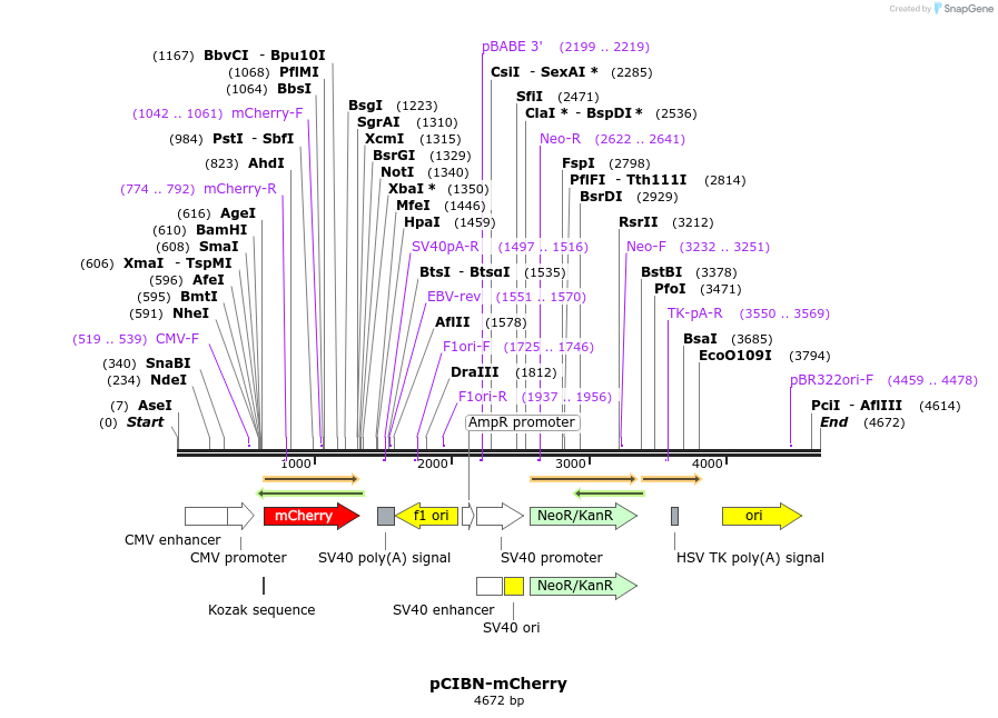 196707_map