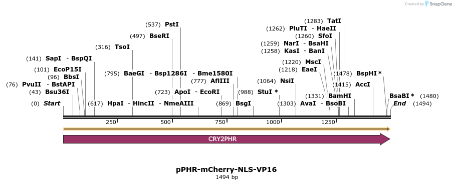 196723_map