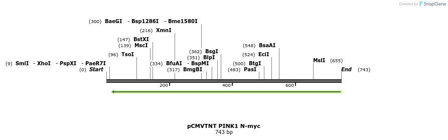 19674_map