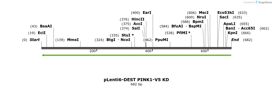 19681_map