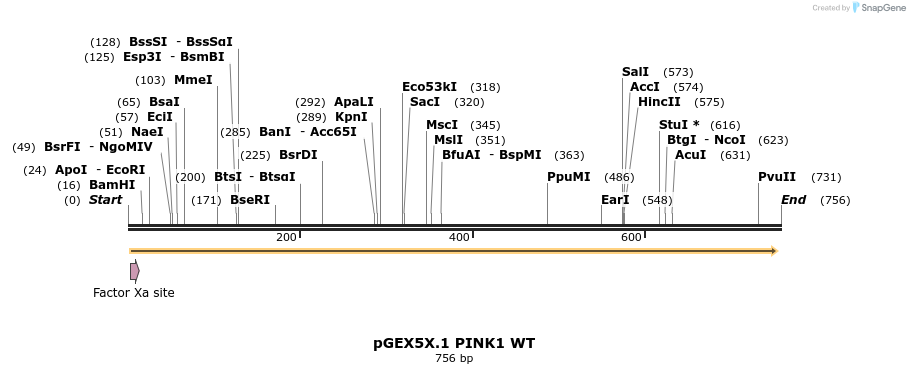 19684_map