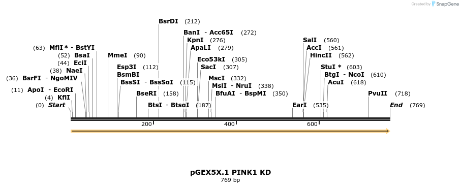 19685_map