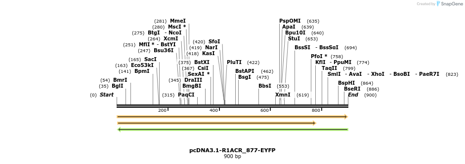 196888_map