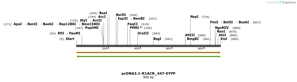 196890_map