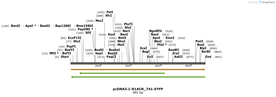 196892_map