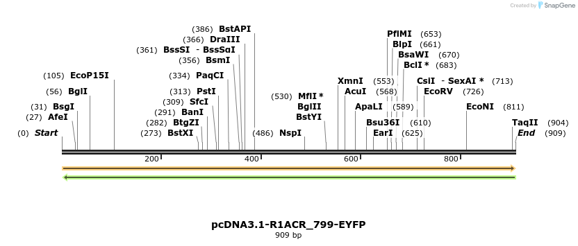 196894_map